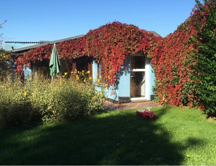 Blaues Haus Neu Reddevitz Lancken-Granitz Exterior foto